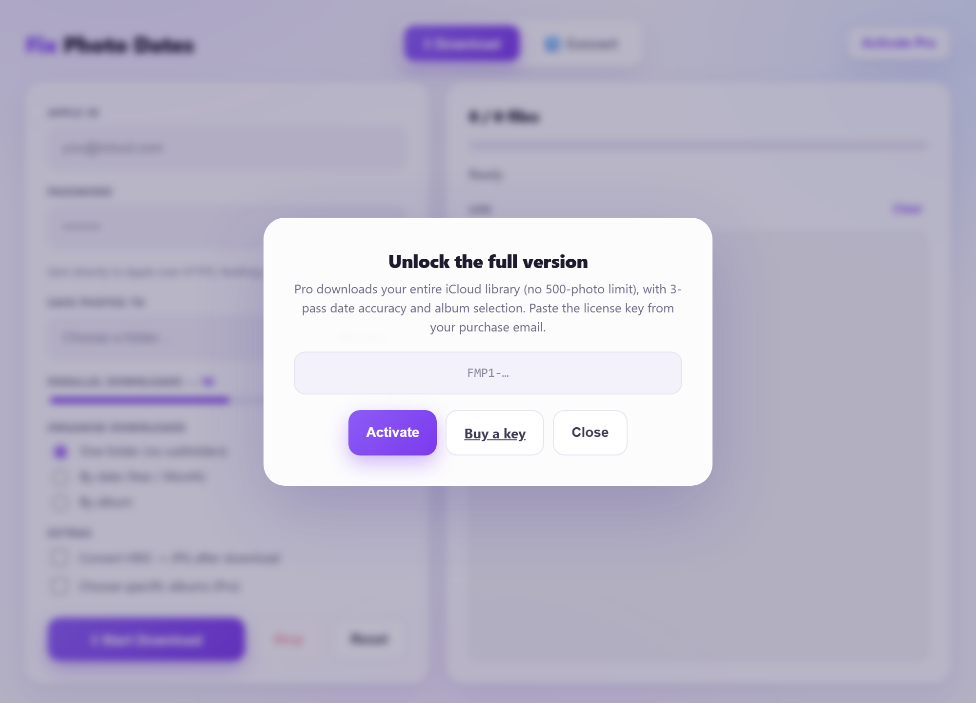 Unlock the full version by pasting your Pro license key